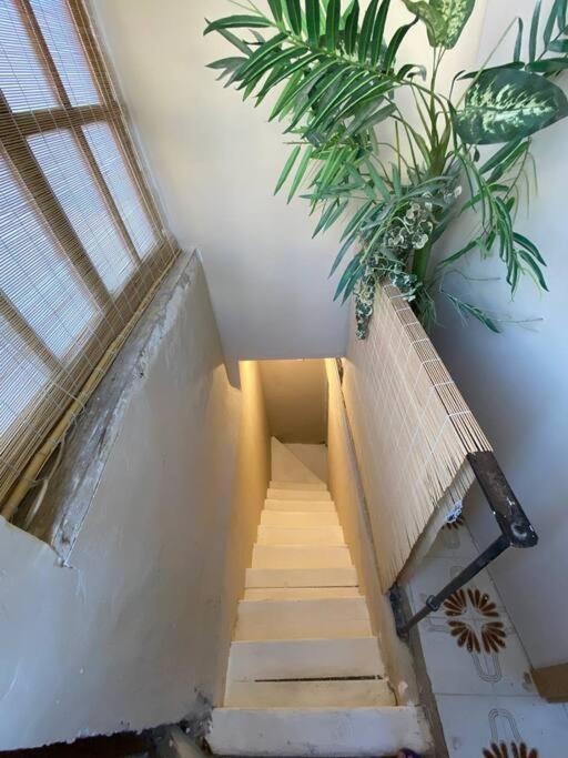 Apartmán Azotea Elvira Granada Exteriér fotografie